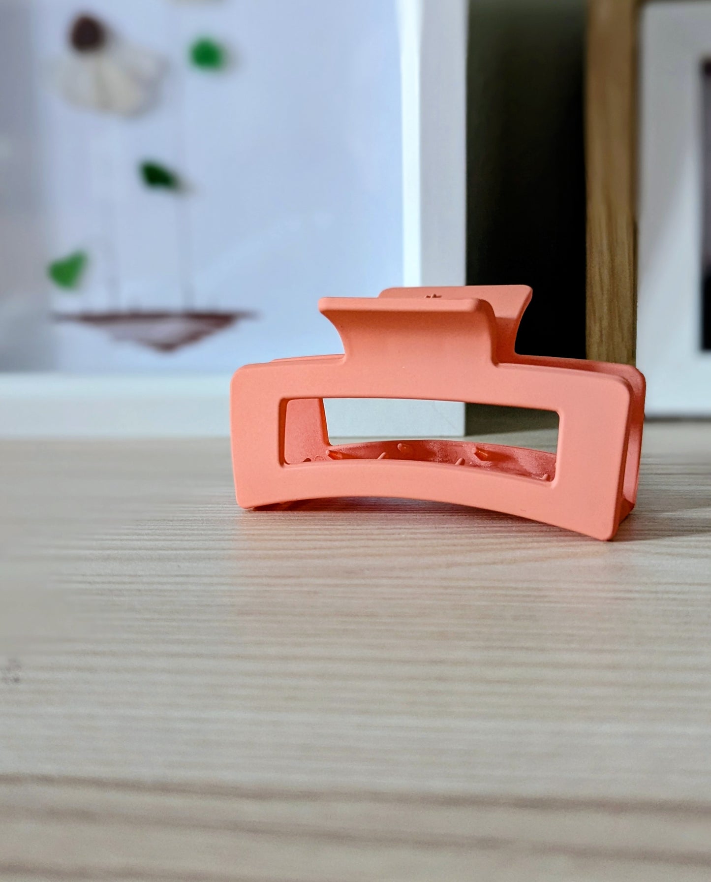 Pastel Pop Claw Clip